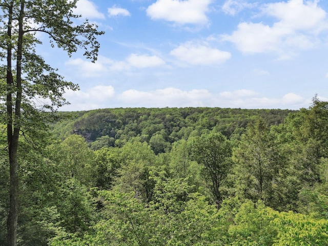 232 Hollingsworth Cove Rd, Monteagle, TN 37356 - view of mountain backdrop featuring a forest