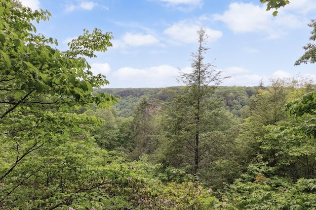 232 Hollingsworth Cove Rd, Monteagle, TN 37356 - view of woods
