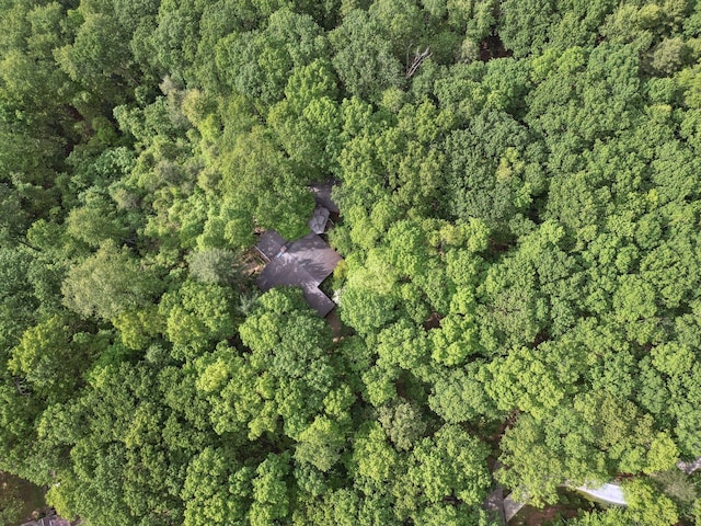 232 Hollingsworth Cove Rd, Monteagle, TN 37356 - view of property location