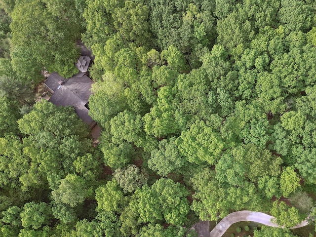 232 Hollingsworth Cove Rd, Monteagle, TN 37356 - view of property location with a heavily wooded area