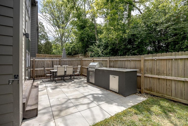 206 Ben Allen Rd Unit 5, Nashville, TN 37207 - fenced backyard with an outdoor kitchen, a patio area, and outdoor dining space