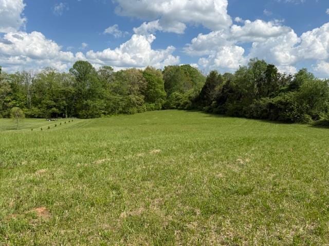 738 Blue Water Dr, Cookeville, TN 38506 - photo 28
