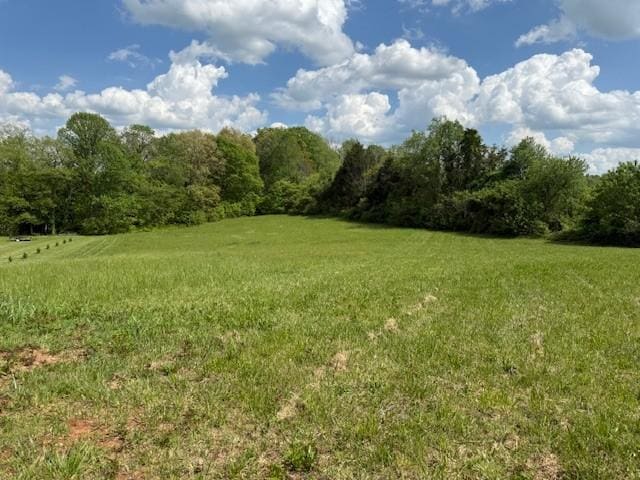 738 Blue Water Dr, Cookeville, TN 38506 - photo 30