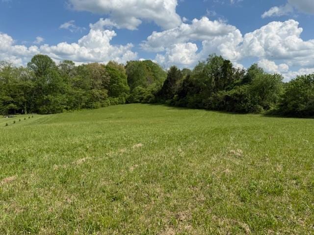 738 Blue Water Dr, Cookeville, TN 38506 - photo 29