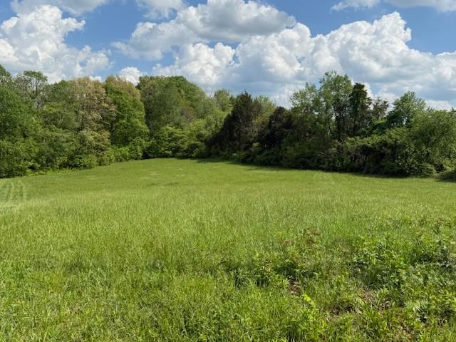 738 Blue Water Dr, Cookeville, TN 38506 - photo 32