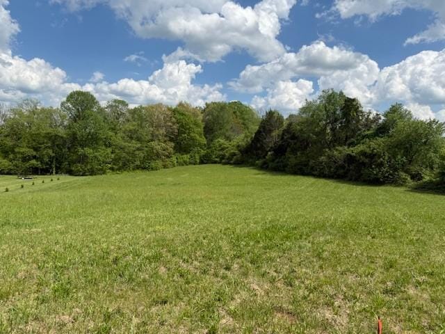 738 Blue Water Dr, Cookeville, TN 38506 - photo 31