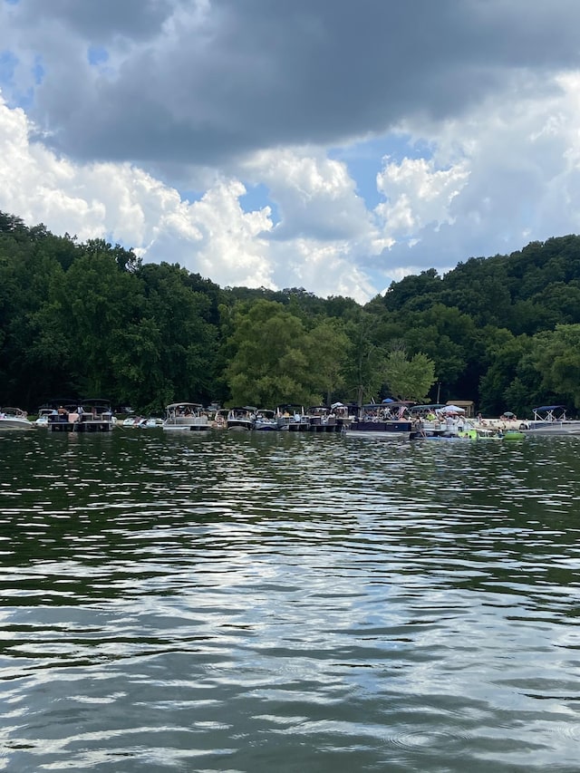5 River Front Dr, Clifton, TN 38425