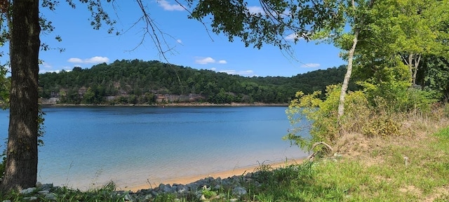 5 River Front Dr, Clifton, TN 38425