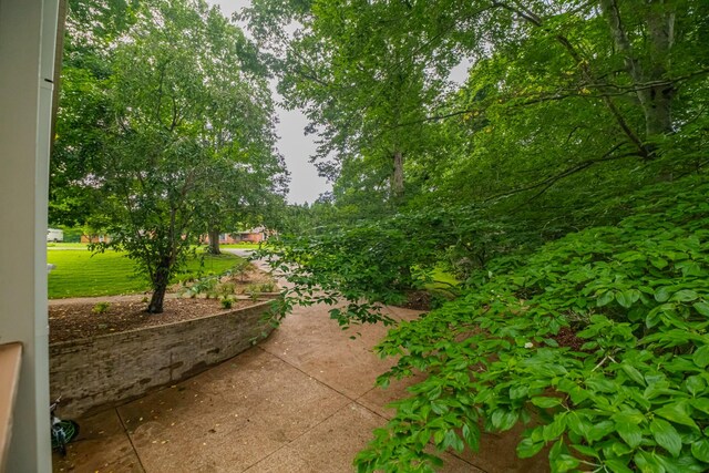 255 Flora Ln, Manchester, TN 37355 - photo 47