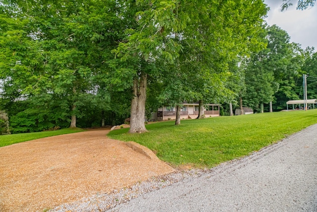 255 Flora Ln, Manchester, TN 37355 - photo 53