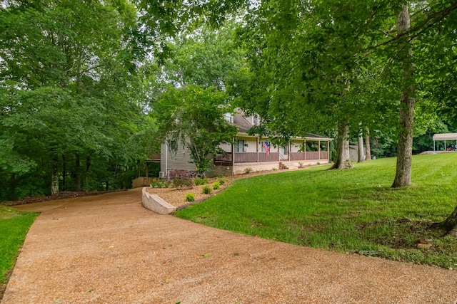 255 Flora Ln, Manchester, TN 37355 - photo 4