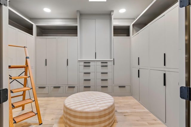 1209 Noelton Ave, Nashville, TN 37215 - spacious closet with light wood finished floors