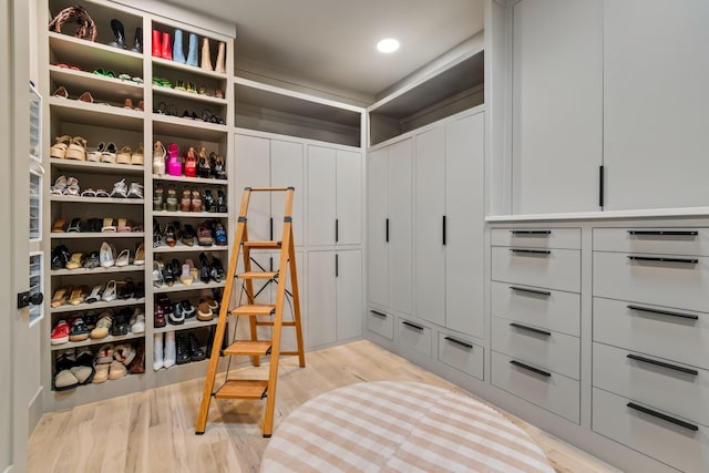1209 Noelton Ave, Nashville, TN 37215 - walk in closet with light wood-style floors