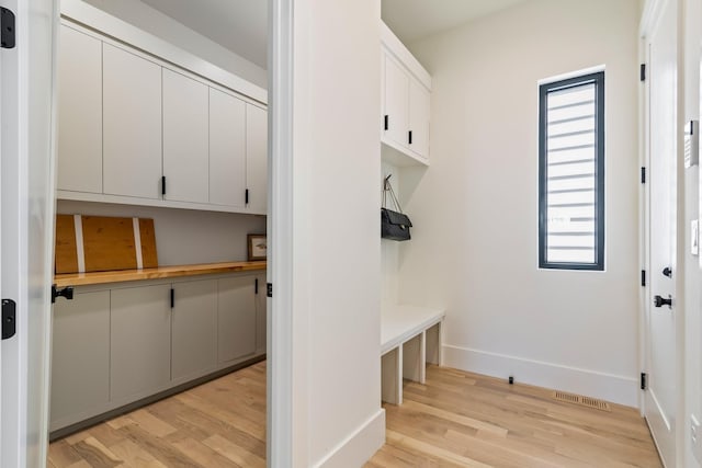 1209 Noelton Ave, Nashville, TN 37215 - mudroom featuring light wood-style flooring and plenty of natural light