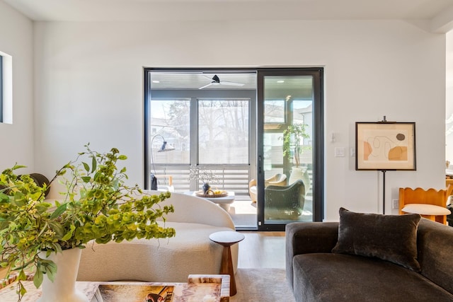 1209 Noelton Ave, Nashville, TN 37215 - living room with wood finished floors
