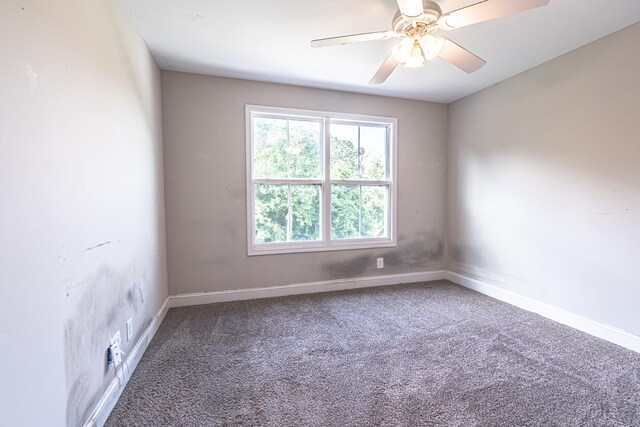 455 Kinslow Ct, Clarksville, TN 37040 - photo 20