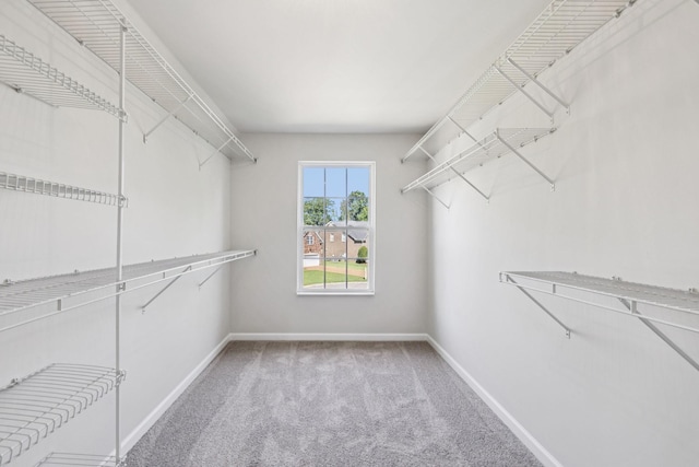 821 Alex Way, Mount Juliet, TN 37122 - walk in closet featuring carpet