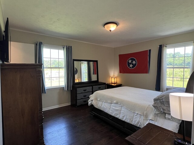 900 Vinta Mill Rd, Prospect, TN 38477 - photo 13