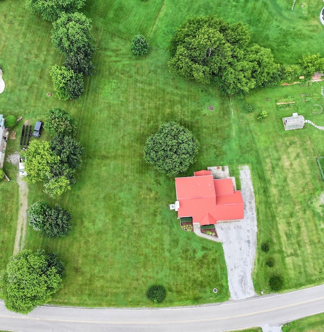 110 Sandis Ln, Palmyra, TN 37142 - bird's eye view