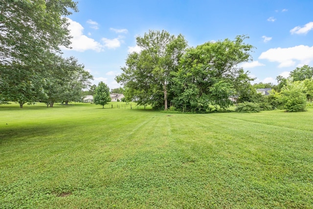 110 Sandis Ln, Palmyra, TN 37142 - view of grassy yard