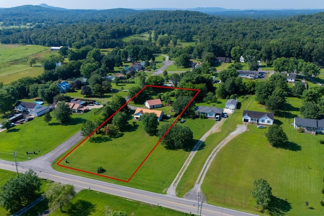 6540 Halls Hill Pike, Murfreesboro, TN 37130 - photo 33