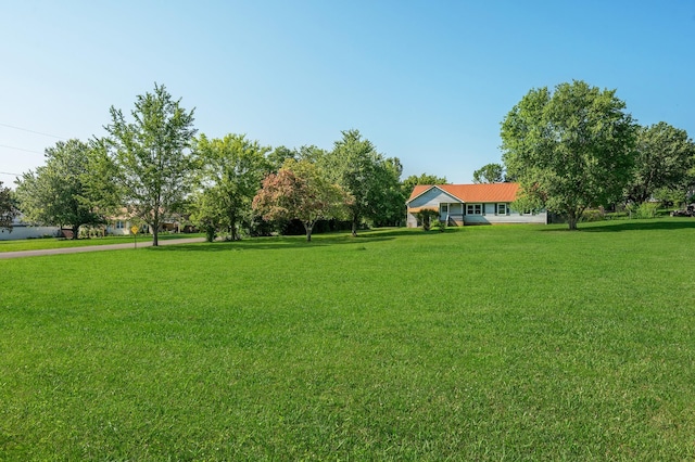 6540 Halls Hill Pike, Murfreesboro, TN 37130 - photo 2