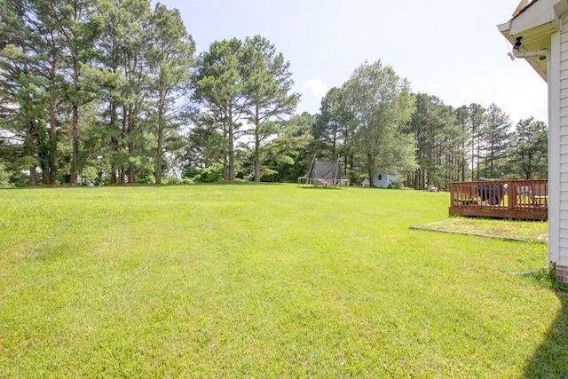 980 Cheekwood Trl, Clarksville, TN 37042 - photo 19
