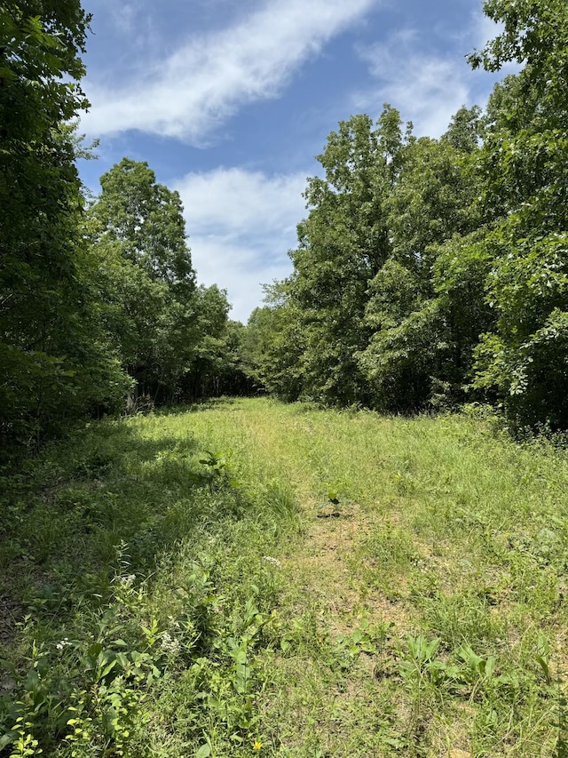 565 Lucas Ridge Ln, Waverly, TN 37185