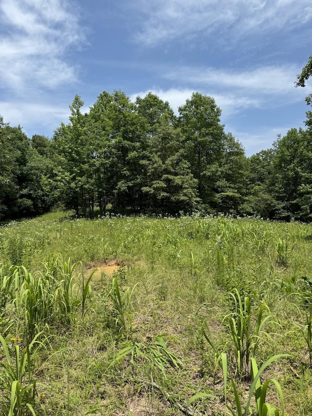 565 Lucas Ridge Ln, Waverly, TN 37185