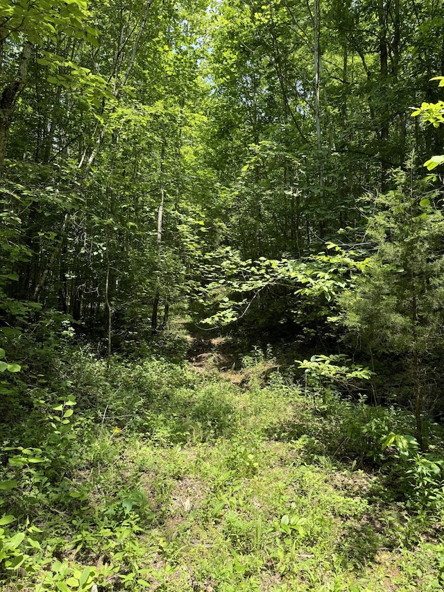 565 Lucas Ridge Ln, Waverly, TN 37185