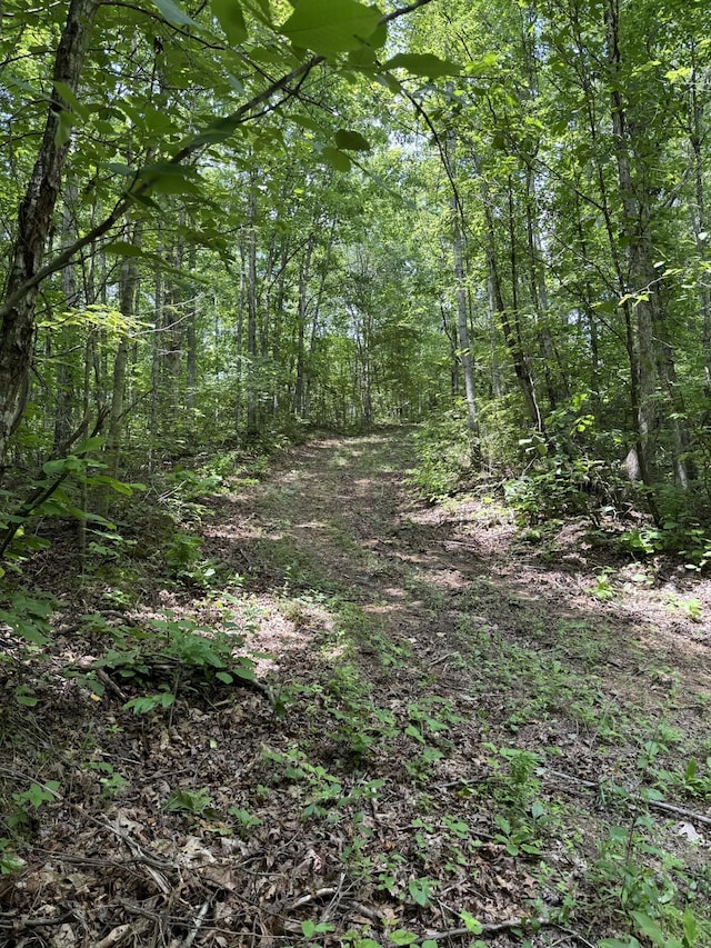 565 Lucas Ridge Ln, Waverly, TN 37185