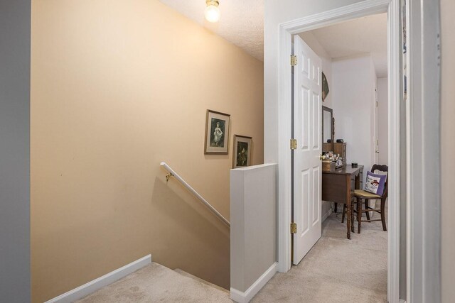 3559 Seneca Forest Dr, Nashville, TN 37217 - photo 10