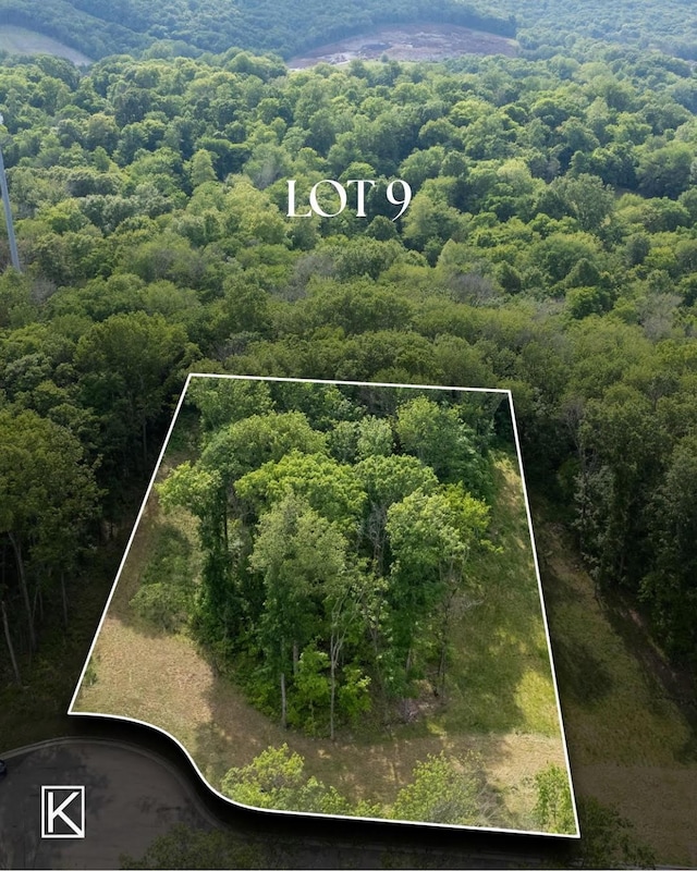 1713 Reflection Ln, Brentwood, TN 37027 - aerial view of property and surrounding area with property boundaries highlighted