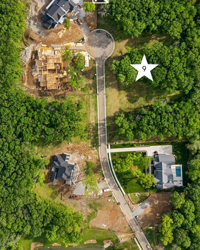 1713 Reflection Ln, Brentwood, TN 37027 - aerial view of property and surrounding area