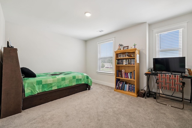 3737 Felipe Way, Murfreesboro, TN 37129 - bedroom featuring carpet flooring and multiple windows