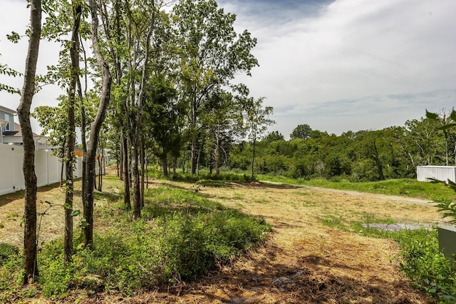 1144 Lock 4 Rd Unit B-4, Gallatin, TN 37066 - view of yard