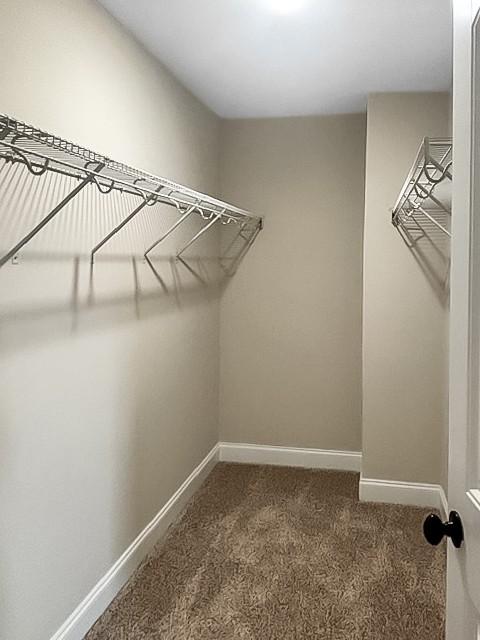 1128 Henry Place Blvd, Clarksville, TN 37042 - photo 34