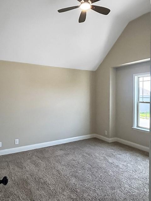 1128 Henry Place Blvd, Clarksville, TN 37042 - photo 38