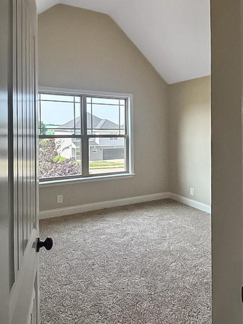 1128 Henry Place Blvd, Clarksville, TN 37042 - photo 43