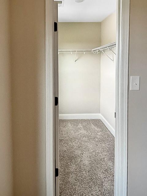 1128 Henry Place Blvd, Clarksville, TN 37042 - photo 39