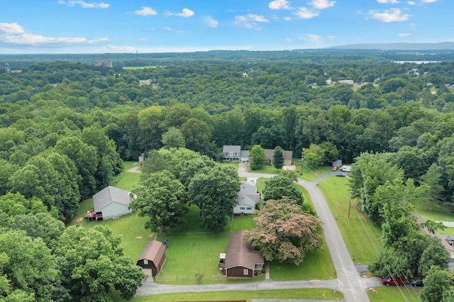 105 Plain View Dr, Estill Springs, TN 37330 - aerial view of a forest