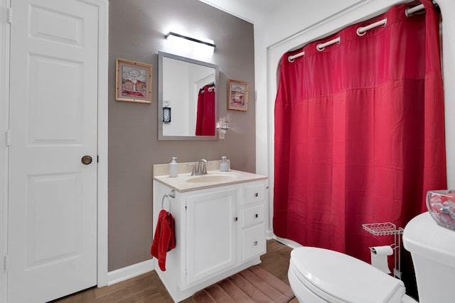 105 Plain View Dr, Estill Springs, TN 37330 - bathroom featuring vanity, wood finished floors, and a shower with curtain