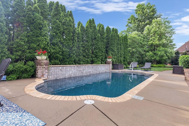 2811 Craythorne Dr, Murfreesboro, TN 37129 - outdoor pool with a patio area