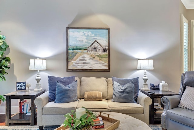 2811 Craythorne Dr, Murfreesboro, TN 37129 - living room featuring wood finished floors