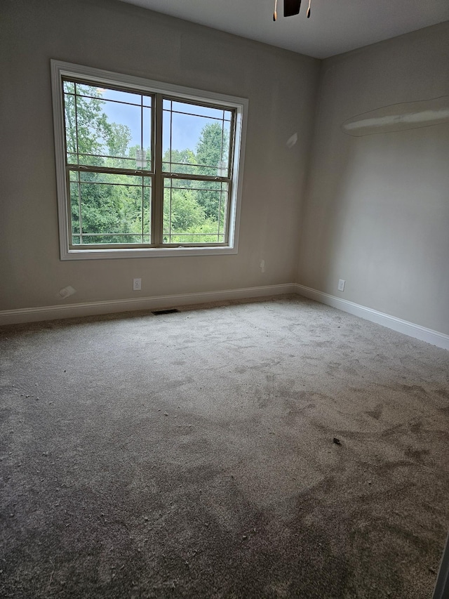 2895 Cooper Creek Rd, Woodlawn, TN 37191 - unfurnished room featuring healthy amount of natural light and carpet