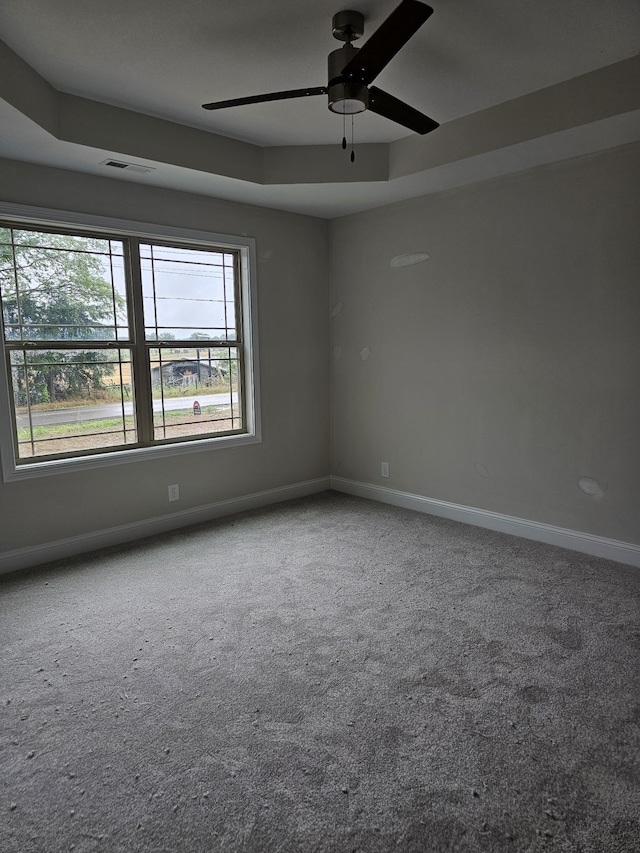 2895 Cooper Creek Rd, Woodlawn, TN 37191 - unfurnished room with carpet flooring, a ceiling fan, and healthy amount of natural light
