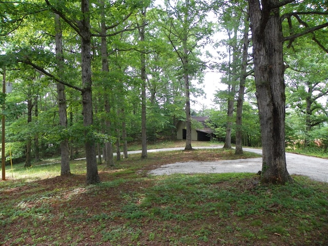 670 Winstead Rd, Quebeck, TN 38579 - photo 16