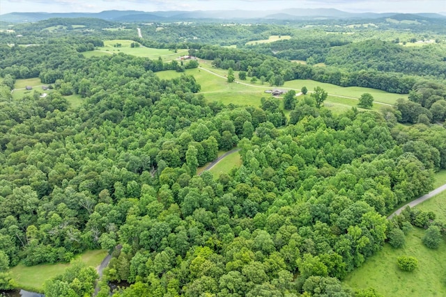 5546 Old Kentucky Rd, Byrdstown, TN 38549 - bird's eye view of a mountain backdrop and a forest