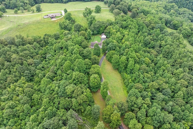 5546 Old Kentucky Rd, Byrdstown, TN 38549 - aerial overview of property's location