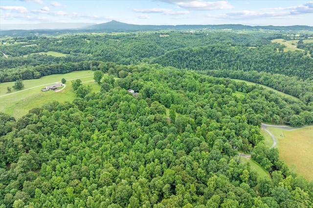 5546 Old Kentucky Rd, Byrdstown, TN 38549 - bird's eye view of a heavily wooded area and mountains